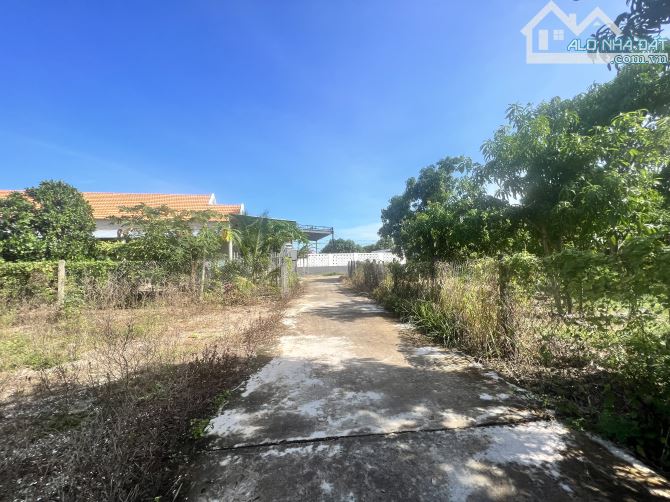 Đất xã Ninh Quang thị xã Ninh Hoà 129m2 Chỉ 515tr Đường 6m gần QL1a - 3