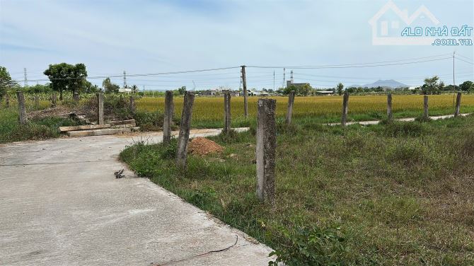 chỉ 240 triệu bạn sở hữu ngay lô đất chuyển lên được đất ở 360m2 tại Hàm Thuận Bắc, BThuận - 3