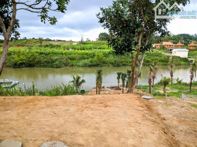 Bán đất nền Biệt Thự View Sông Làng Chùa Đại Ninh,DT 10m x 49m,bán 2.7 tỷ TL - 3