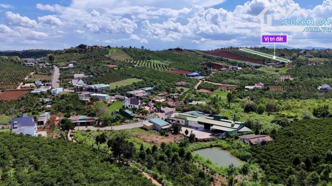 ✨ 4.609M2 (194M2 ONT) Ngang 20M Mặt đường Nhựa (QHLG: 20M), cách Đà Lạt chỉ 20Km - 3,45 TỶ - 3