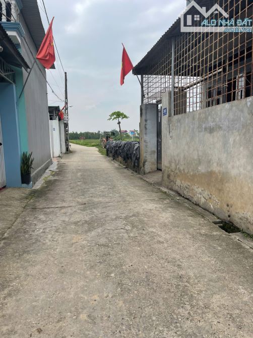 🔥 Bán Đất Đẹp Quang Tiến – Sóc Sơn | 120m² –Ngõ Thông oto  Giá Tốt 3.9 Tỷ 🔥 - 3