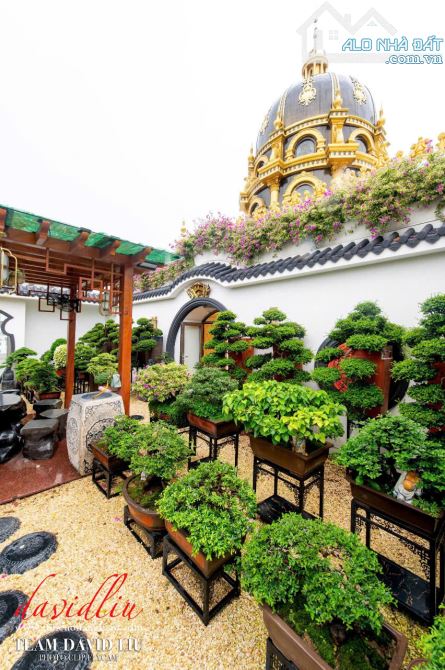 Bán Dinh Thự Siêu Đẳng Cấp MTĐ Trần Văn Kiểu, P.10, Quận 6 : - 37