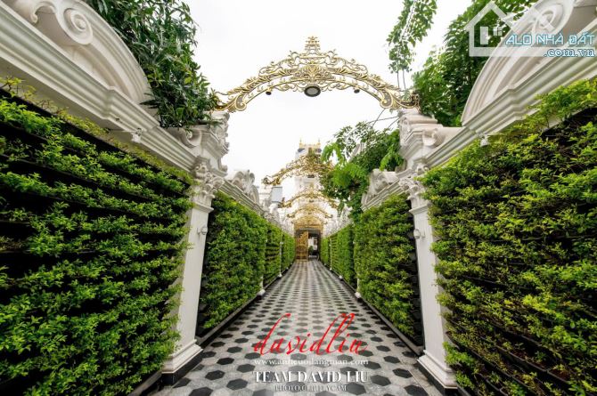 Bán Dinh Thự Siêu Đẳng Cấp MTĐ Trần Văn Kiểu, P.10, Quận 6 : - 40