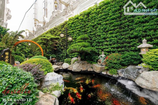 Bán Dinh Thự Siêu Đẳng Cấp MTĐ Trần Văn Kiểu, P.10, Quận 6 : - 41