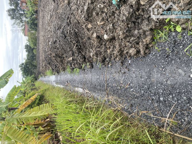 Cần bán đất QH dân cư 2.400m2 góc 2 mặt tiền phù hợp phân lô - 4