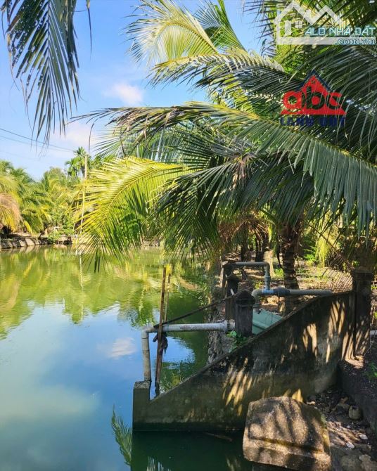 Bán Nhà Xương Tổng Khuôn Viên 3hec3 Thuộc Tân An - 4