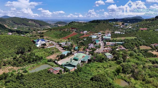 ✨ 4.609M2 (194M2 ONT) Ngang 20M Mặt đường Nhựa (QHLG: 20M), cách Đà Lạt chỉ 20Km - 3,45 TỶ - 4