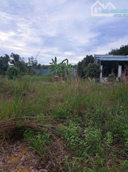 TP Bến Cát- 100m2- Ngang 5m- 1,5 tỷ- Sổ hồng riêng - 4