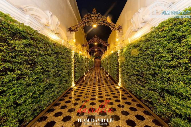 Bán Dinh Thự Siêu Đẳng Cấp MTĐ Trần Văn Kiểu, P.10, Quận 6 : - 44
