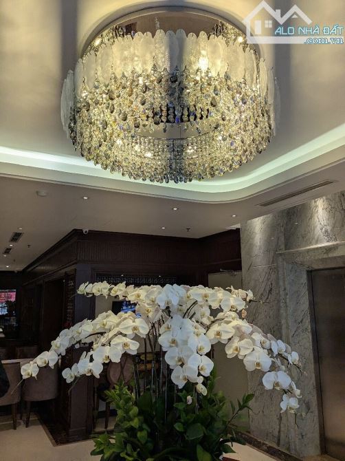 Chủ ngộp Bank giảm 50Tỷ - Khách sạn 5* Mặt phố Quận Ba Đình - 450m2, MT 15m, Giá 381 Tỷ - 5