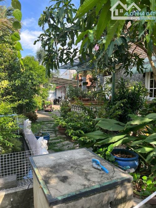 Đất mặt tiền kinh doanh gần chợ Búng, phường Hưng Định, TP Thuận An. 25,1 tỷ - 5