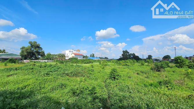 100ty đất lớn 5000m2 43.8x114m2,  2MT đường nhựa, rẻ sổ hồng riêng, p.Bình Chuẩn, - 5