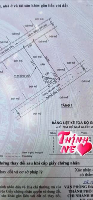 159m2 full thổ,xây dựng tự do. sát bên Phú Mỹ Hưng.360 phạm hữu lầu - 5