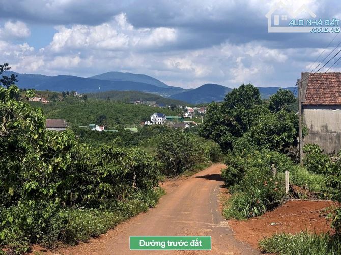 ✨ 4.609M2 (194M2 ONT) Ngang 20M Mặt đường Nhựa (QHLG: 20M), cách Đà Lạt chỉ 20Km - 3,45 TỶ - 5