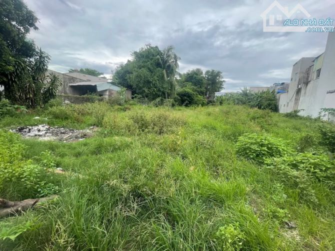 🔥LÔ ĐẤT MẶT TIỀN KINH DOANH TÂN HIỆP 14 HÓC MÔN - GẦN 1000M2 - FULL THỔ CƯ ĐƯỜNG NHỰA XE - 5