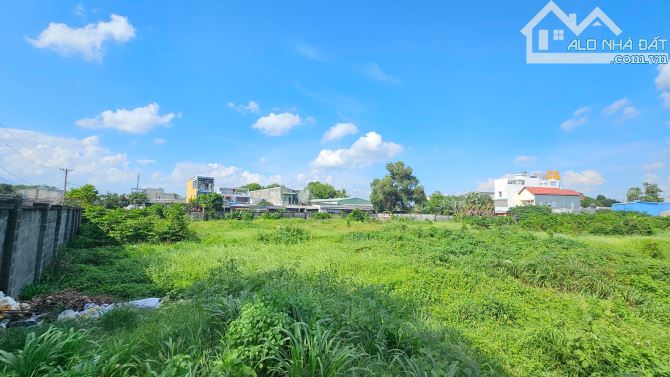100ty đất lớn 5000m2 43.8x114m2,  2MT đường nhựa, rẻ sổ hồng riêng, p.Bình Chuẩn, - 6