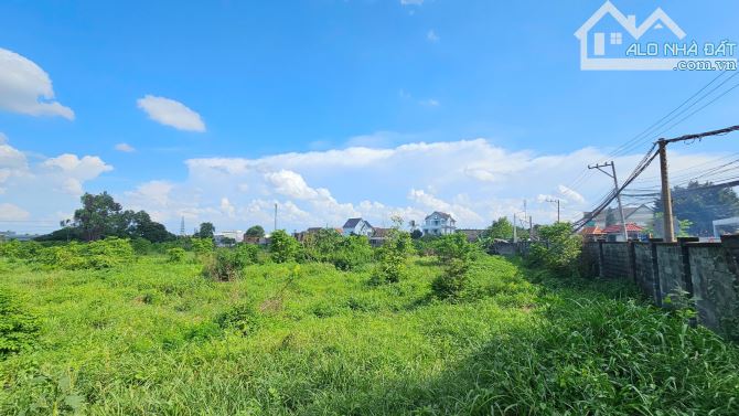 100ty đất lớn 5000m2 43.8x114m2,  2MT đường nhựa, rẻ sổ hồng riêng, p.Bình Chuẩn, - 7