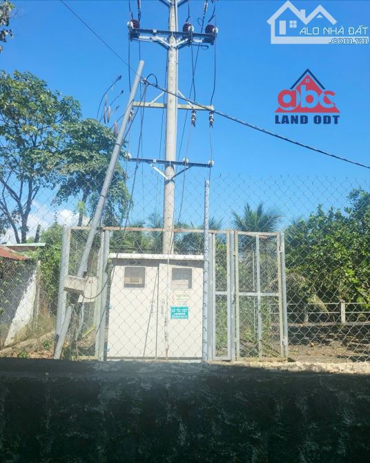 Bán Nhà Xương Tổng Khuôn Viên 3hec3 Thuộc Tân An - 8