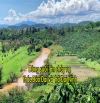 Bán 5,2 Sào MT Đường Phú Ao, Sát mặt nước, Vuông Vức, QH Thổ Cư