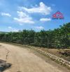 BÁN Xưởng Và Nhà Vườn Xã Vĩnh Tân Vĩnh Cửu 3.3Ha ( 33.000m2 ) 1 Sẹt DT767 -500M