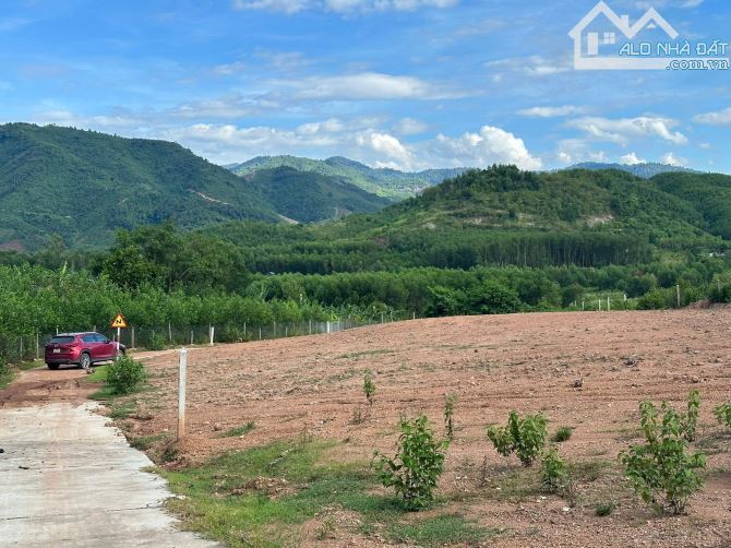 Đất Thổ Cư Khánh Phú gần KCN Sông Cầu và HL62 đường Liên Vùng đang thi công. Giá chỉ từ 31