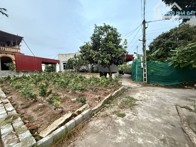 85m CD Quán Trạch - Xã Văn Giang mới, giữa trục đường tỉnh 379, Vành đai 4, đường Di Sản…