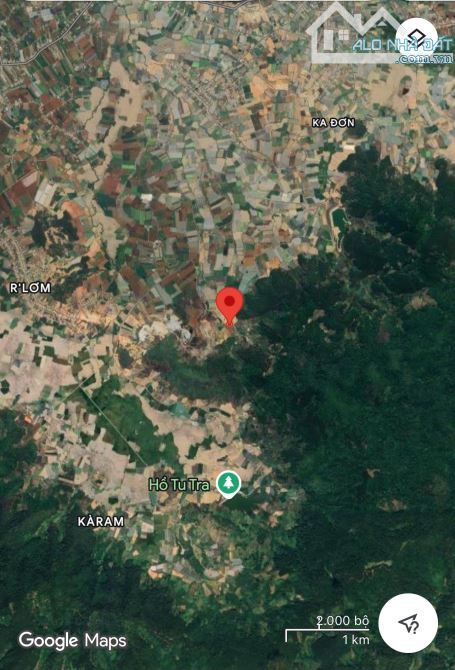 Bán đất 5,6hecta đất nông nghiệp Ka Đơn Đơn Dương Lâm Đồng giá 420triệu/sào