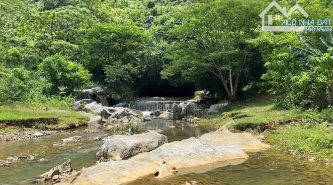 Bán đất Kim Bôi Hòa BÌnh Bám suối lớn, nguồn nước từ hang động tự nhiên.