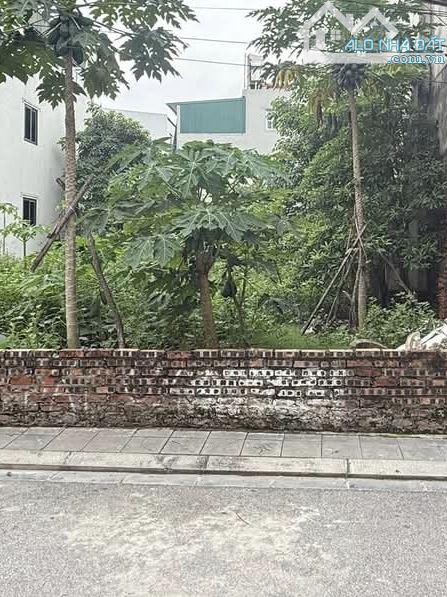 ‼️ DU NỘI, MAI LÂM – NGÕ Ô TÔ TRÁNH – 110M² – 10 TỶ ‼️