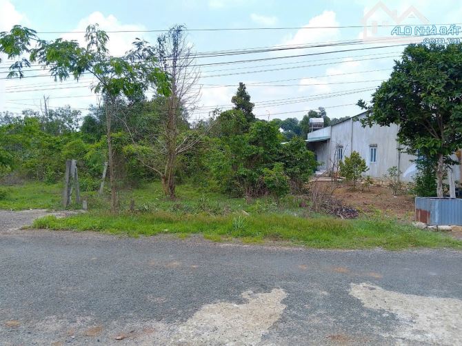 CHỦ CẦN TIỀN – ĐẤT ĐẸP 260m², THỔ CƯ SẴN – GIÁ RẺ HƠN THỊ TRƯỜNG
