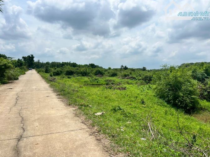 BÁN ĐẤT LỚN 5,8HA – 2 MẶT TIỀN ĐƯỜNG BÊ TÔNG – SÁT VÀNH ĐAI 4 – GIÁ MỀM CHO NHÀ ĐẦU TƯ