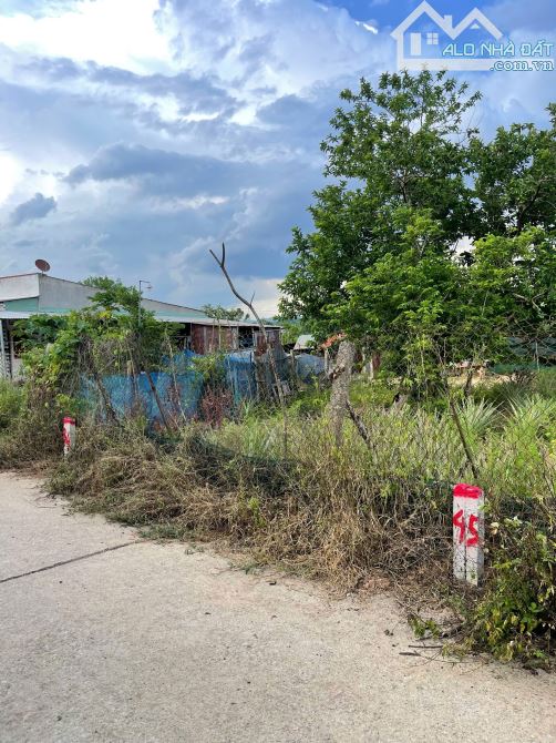 💥Lock 6 lô Diên Thọ đẹp giá chỉ từ 430triệu. Cách tỉnh lộ 2 100m💥