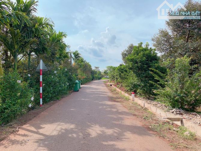 Bán hơn 1 mẫu 6 (16.240m2) đất Láng Lớn, huyện Châu Đức, BRVT - 11