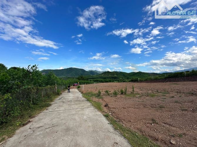 Đất Thổ Cư Khánh Phú gần KCN Sông Cầu và HL62 đường Liên Vùng đang thi công. Giá chỉ từ 31 - 1