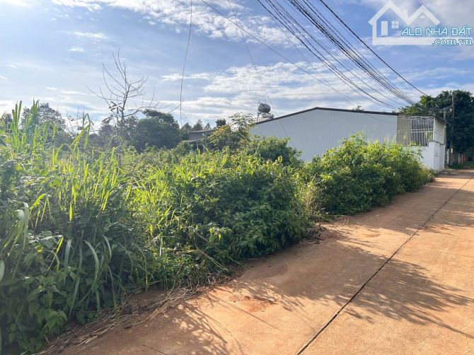 Bán 1 sào đất nông nghiệp hẻm 135 Thủ Khoa Huân - 1