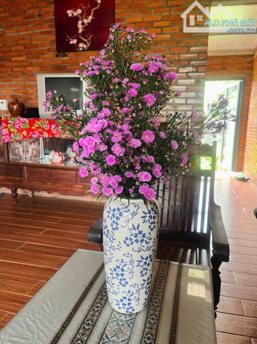 NHÀ VƯỜN ĐẸP NGAY HỔ HIMLAM GIÁ RẺ - 1