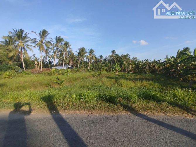 Cần bán nền đất mặt tiền đường nhựa nhánh Quốc Lộ 60,lương Hòa Châu Thành Trà Vinh - 1