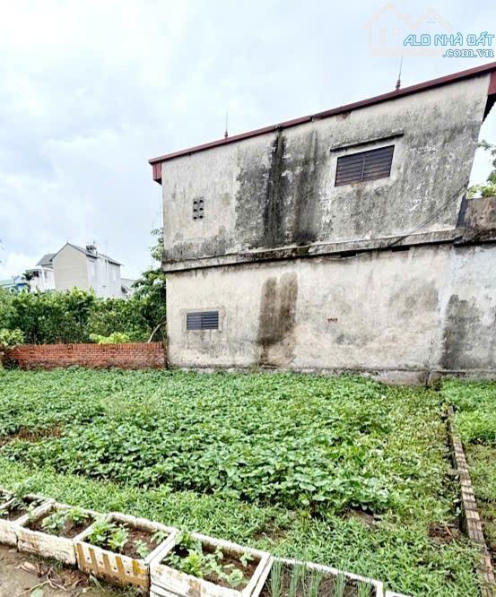🏡 BÁN ĐẤT ĐẸP KIM SƠN-GIA LÂM-Ô TÔ ĐỖ-44M2-GIÁ 2.45 TỶ-PHÂN KHÚC HIẾM-BAY NHANH - 1