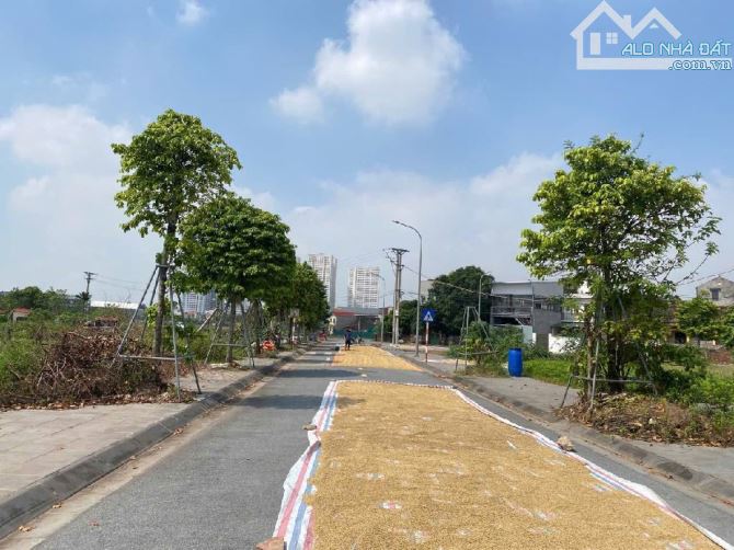 Phân Lô Vỉa Hè_X2 Thái Bình_Mai Lâm_Đông Anh_DT80M²_MT 5M_Lô Đất 2 Thoáng