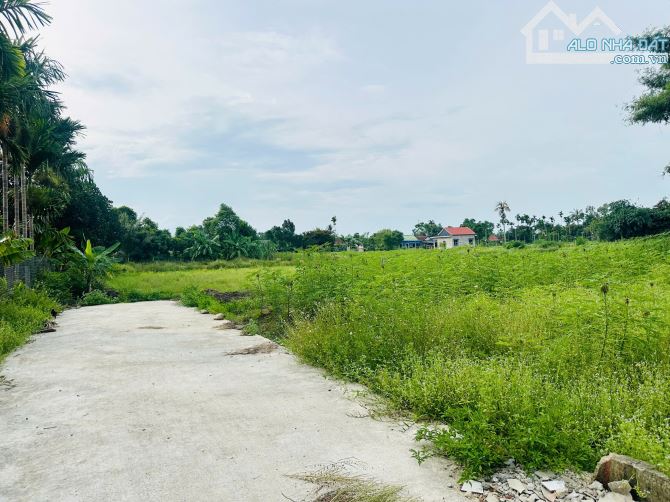 HÀNG FO VỪA TÁCH THỬA HƯƠNG CHỮ CHO NHÀ ĐẦU TƯ - GIÁ CHỈ 4XX TRIỆU/LÔ - 1
