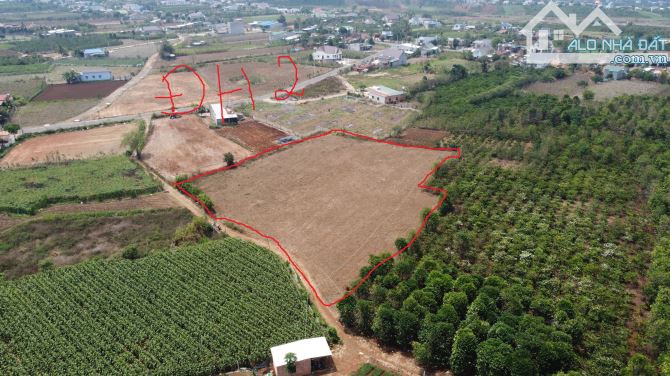 Bán đất 1335m2 có 300m2 đất ở đức trọng nghỉ dưỡng MT 12m Nở Hậu chỉ 1,95ty - 1