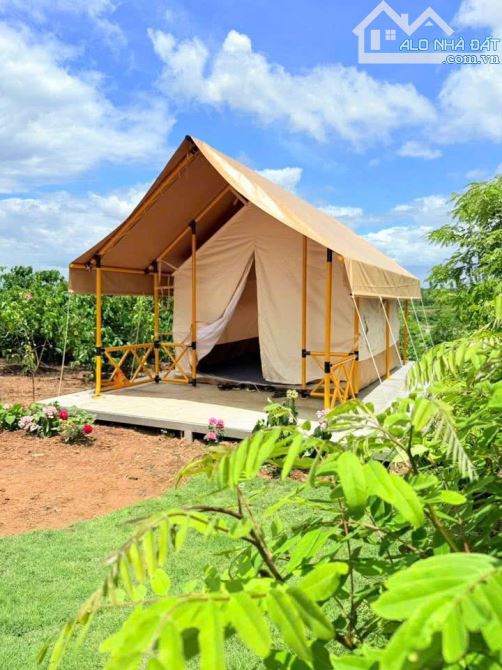 🌹 Bán 1000m2 tặng nhà vườn view sông Serepok tuyệt đẹp. - 1