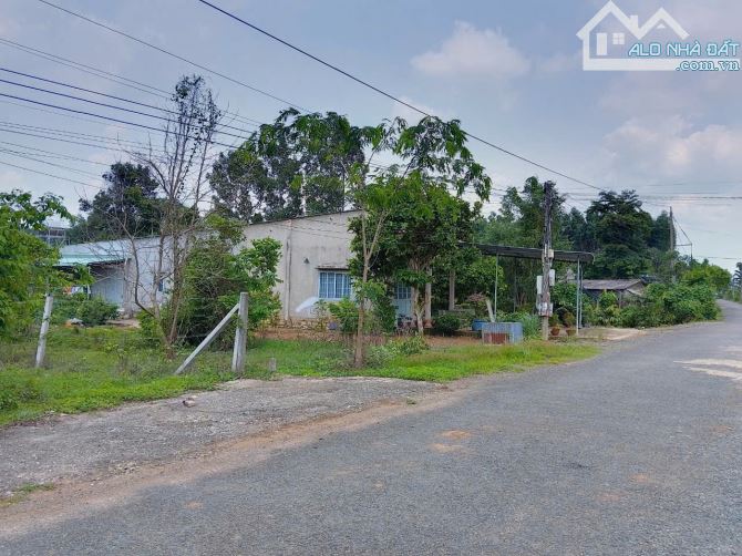 CHỦ CẦN TIỀN – ĐẤT ĐẸP 260m², THỔ CƯ SẴN – GIÁ RẺ HƠN THỊ TRƯỜNG - 1