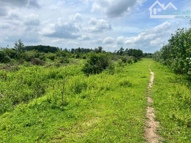 BÁN ĐẤT LỚN 5,8HA – 2 MẶT TIỀN ĐƯỜNG BÊ TÔNG – SÁT VÀNH ĐAI 4 – GIÁ MỀM CHO NHÀ ĐẦU TƯ - 1