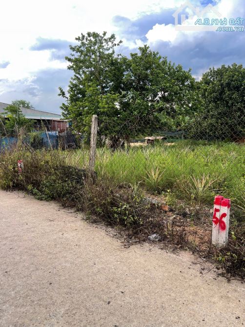 💥Lock 6 lô Diên Thọ đẹp giá chỉ từ 430triệu. Cách tỉnh lộ 2 100m💥 - 1
