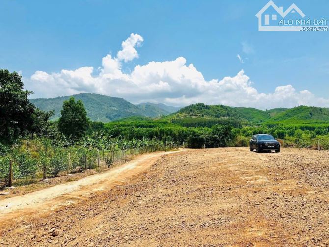 Đất Thổ Cư Khánh Phú gần KCN Sông Cầu và HL62 đường Liên Vùng đang thi công. Giá chỉ từ 31 - 2