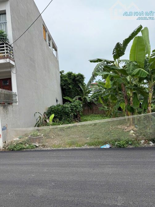 Cần bán 110m đất Đan nhiễm giá tốt đất đẹp ko lỗi - 2