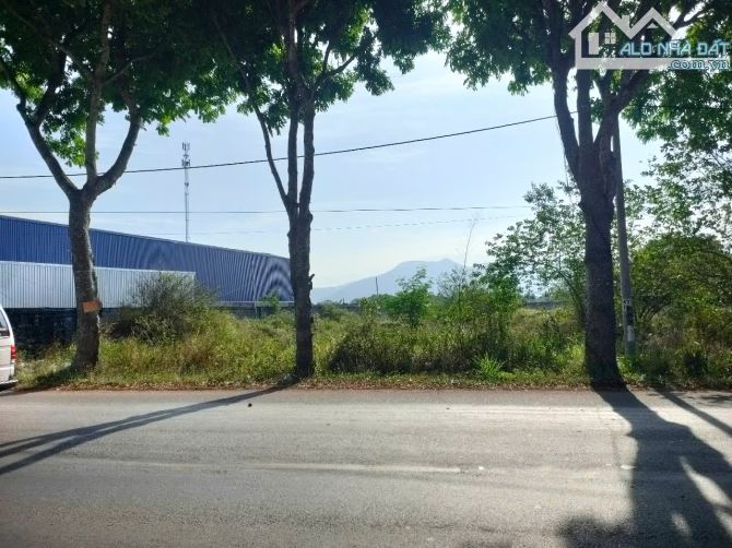 CHO THUÊ 5000m2 ĐẤT TRỐNG MẶT TIỀN QUỐC LỘ 56  KIM DINH, BÀ RỊA - GIÁ THOẢ THUẬN - 2