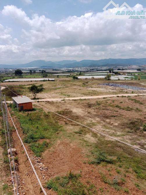 Bán đất 5,6hecta đất nông nghiệp Ka Đơn Đơn Dương Lâm Đồng giá 420triệu/sào - 2