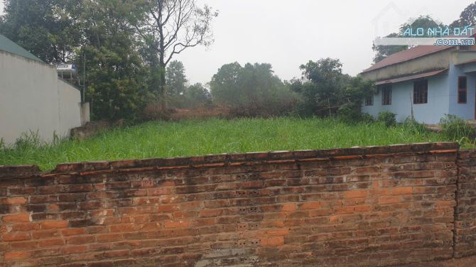 Bán 700m2 Sổ Đỏ Hà Nội- Mặt Tiền Rộng Trục Chính Đường Ô tô Tránh- Đầu Tư Xây Nhà Vườn - 2